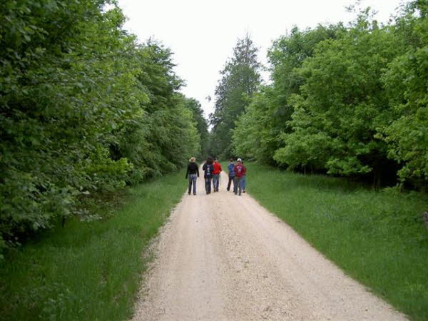 WT2008_18
