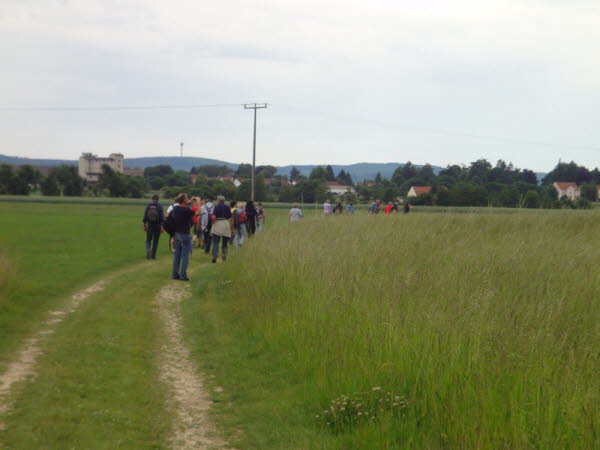WT_2012 (15)