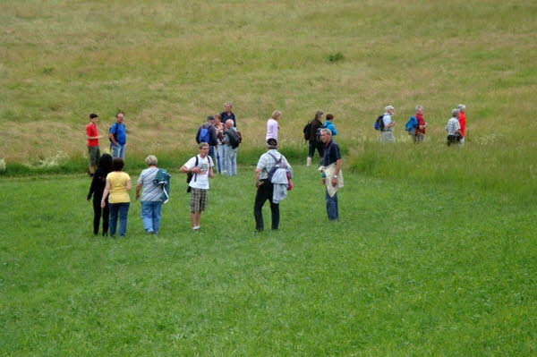 WT_2012 (16)